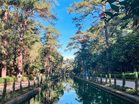 wright park baguio city|Wright Park Guide: A Park with Pines and History .